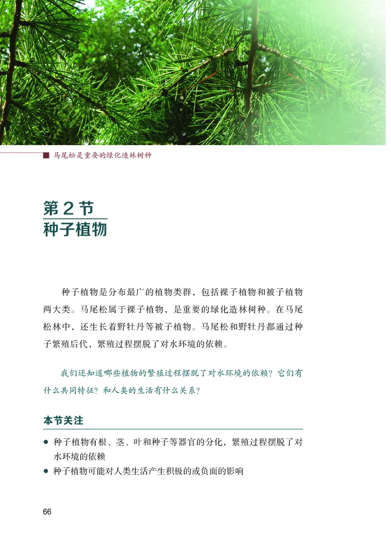 苏教版7年级生物上册高清教材_4-教培资料-26年最新资料-同步更新_初中高中教资_03科三专项（进去保存报考的学科即可）_02科三专项（笔记真题思维导图教学设计版本二）