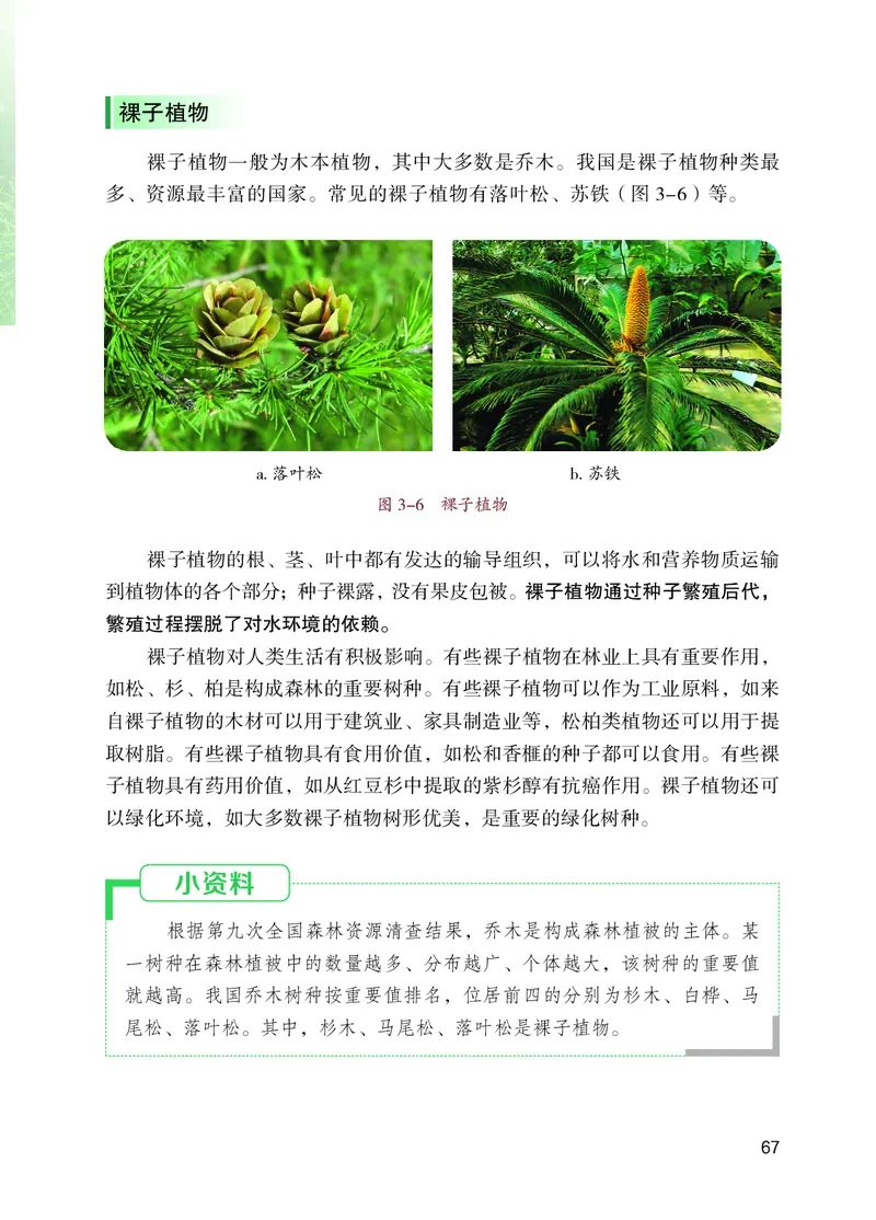 苏教版7年级生物上册高清教材_4-教培资料-26年最新资料-同步更新_初中高中教资_03科三专项（进去保存报考的学科即可）_02科三专项（笔记真题思维导图教学设计版本二）