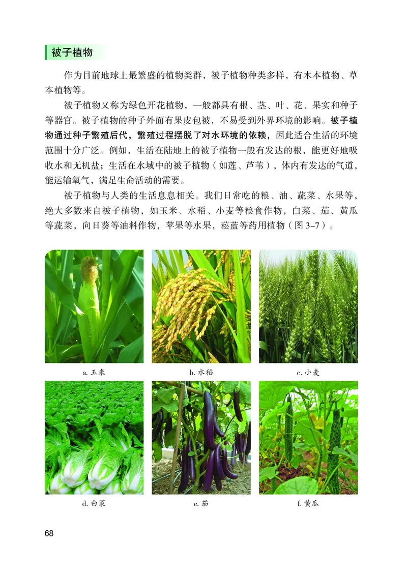 苏教版7年级生物上册高清教材_4-教培资料-26年最新资料-同步更新_初中高中教资_03科三专项（进去保存报考的学科即可）_02科三专项（笔记真题思维导图教学设计版本二）