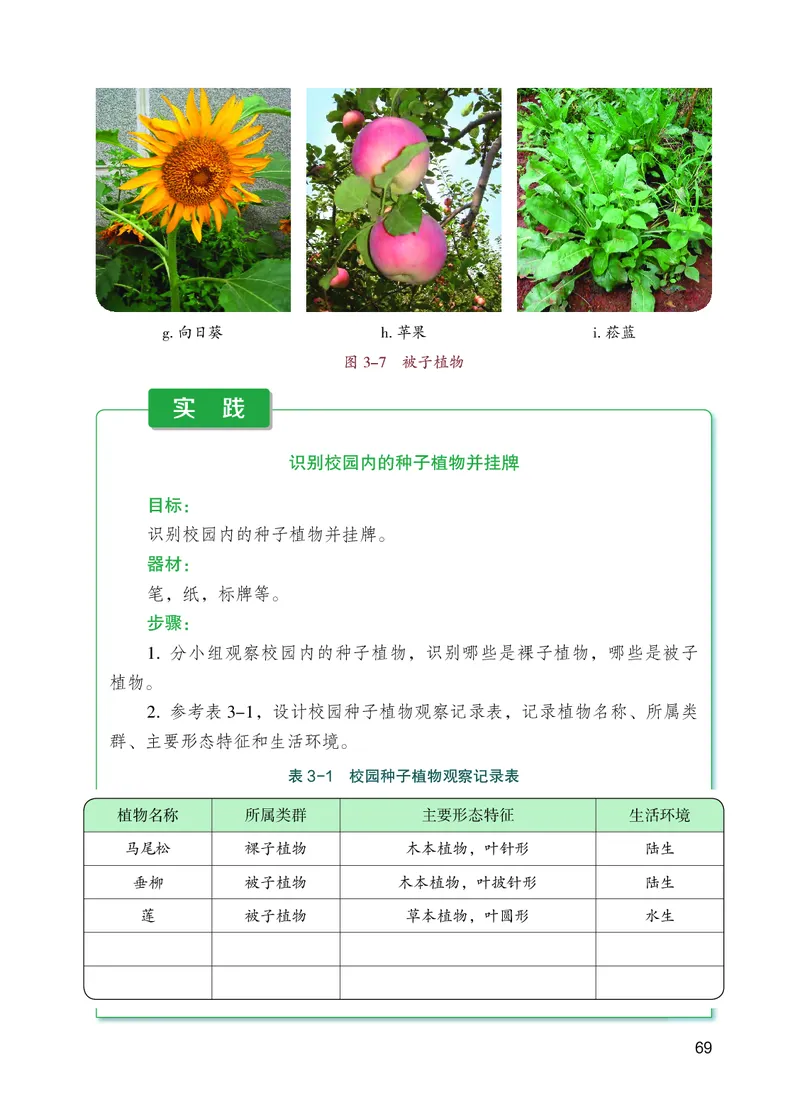 苏教版7年级生物上册高清教材_4-教培资料-26年最新资料-同步更新_初中高中教资_03科三专项（进去保存报考的学科即可）_02科三专项（笔记真题思维导图教学设计版本二）