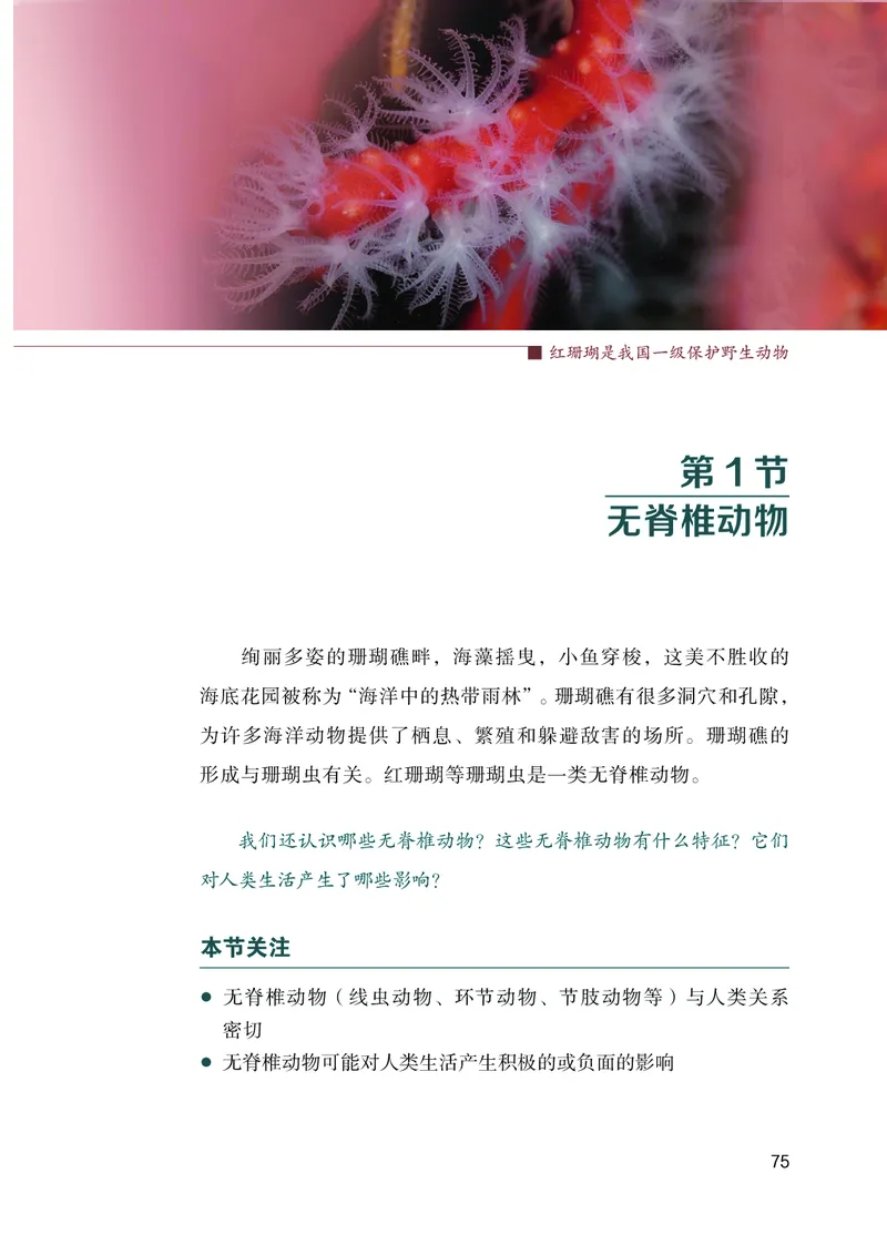 苏教版7年级生物上册高清教材_4-教培资料-26年最新资料-同步更新_初中高中教资_03科三专项（进去保存报考的学科即可）_02科三专项（笔记真题思维导图教学设计版本二）