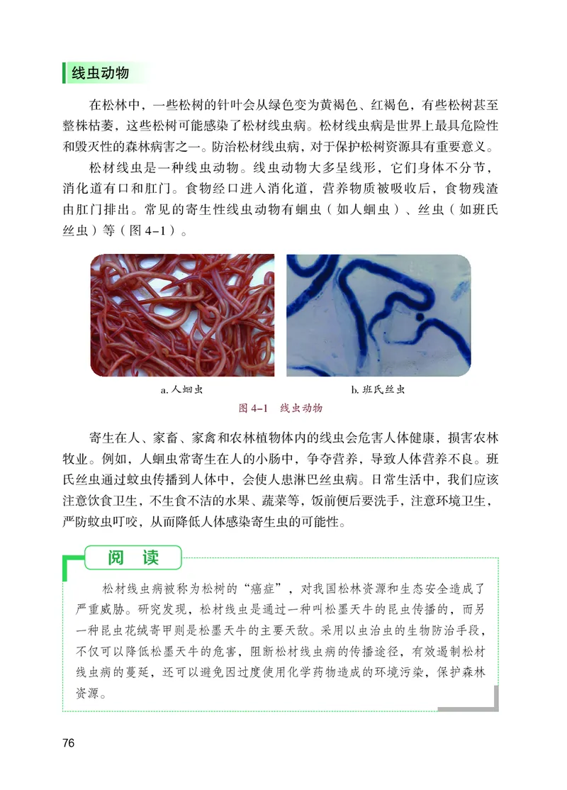 苏教版7年级生物上册高清教材_4-教培资料-26年最新资料-同步更新_初中高中教资_03科三专项（进去保存报考的学科即可）_02科三专项（笔记真题思维导图教学设计版本二）