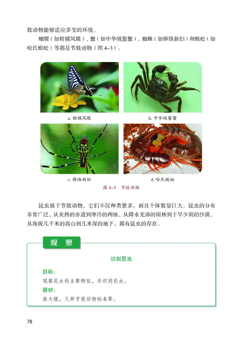 苏教版7年级生物上册高清教材_4-教培资料-26年最新资料-同步更新_初中高中教资_03科三专项（进去保存报考的学科即可）_02科三专项（笔记真题思维导图教学设计版本二）