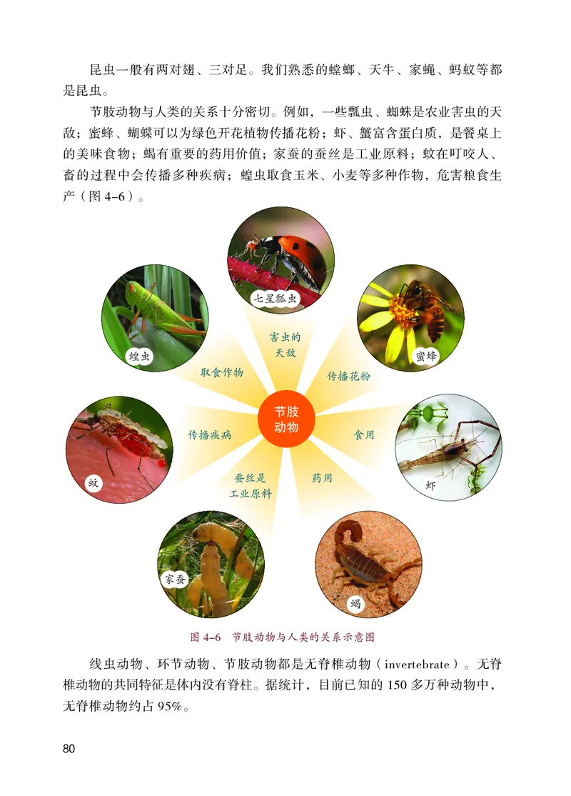 苏教版7年级生物上册高清教材_4-教培资料-26年最新资料-同步更新_初中高中教资_03科三专项（进去保存报考的学科即可）_02科三专项（笔记真题思维导图教学设计版本二）