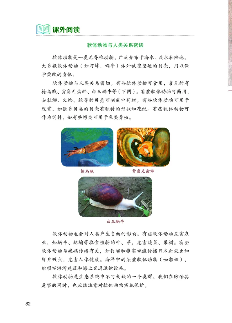 苏教版7年级生物上册高清教材_4-教培资料-26年最新资料-同步更新_初中高中教资_03科三专项（进去保存报考的学科即可）_02科三专项（笔记真题思维导图教学设计版本二）