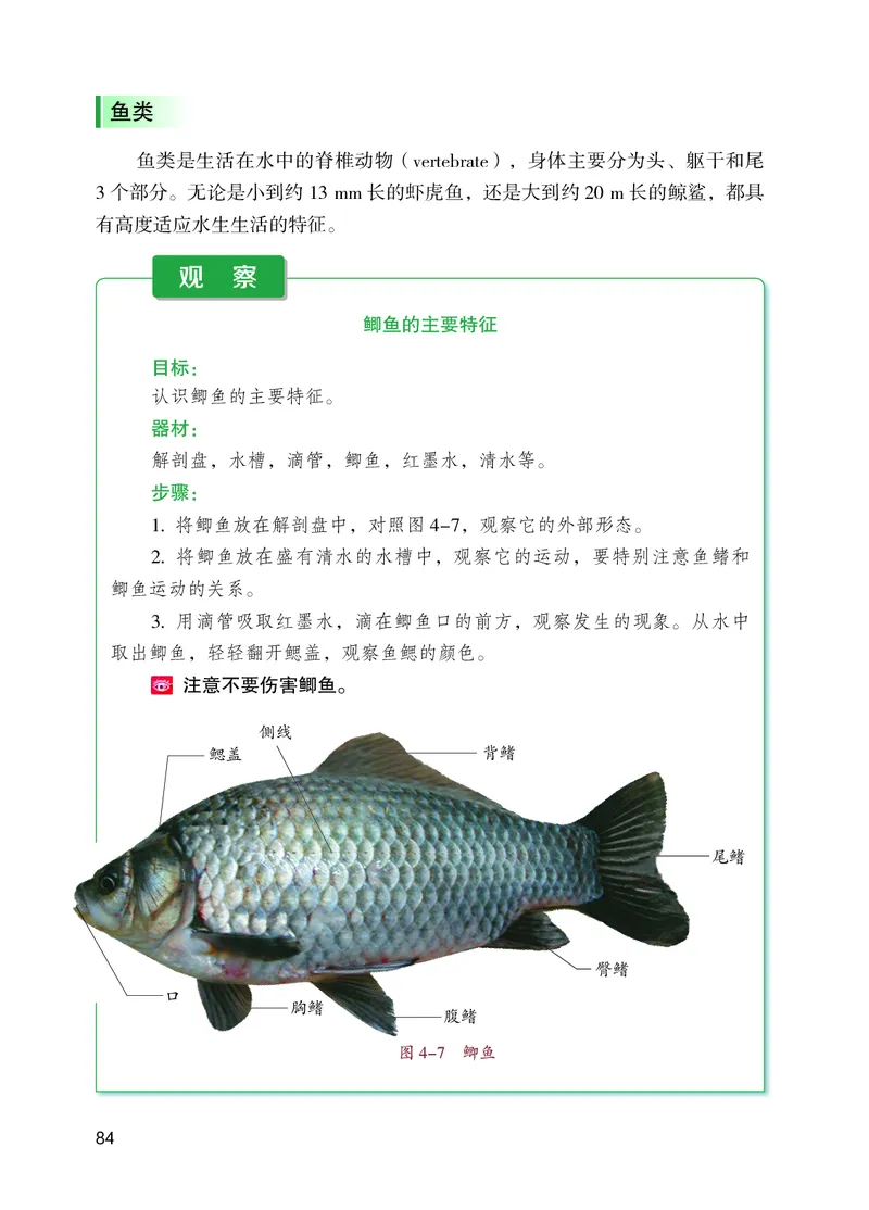 苏教版7年级生物上册高清教材_4-教培资料-26年最新资料-同步更新_初中高中教资_03科三专项（进去保存报考的学科即可）_02科三专项（笔记真题思维导图教学设计版本二）