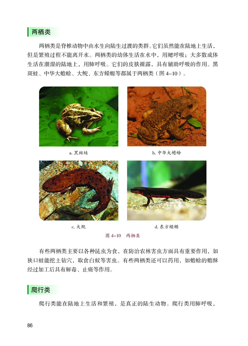 苏教版7年级生物上册高清教材_4-教培资料-26年最新资料-同步更新_初中高中教资_03科三专项（进去保存报考的学科即可）_02科三专项（笔记真题思维导图教学设计版本二）