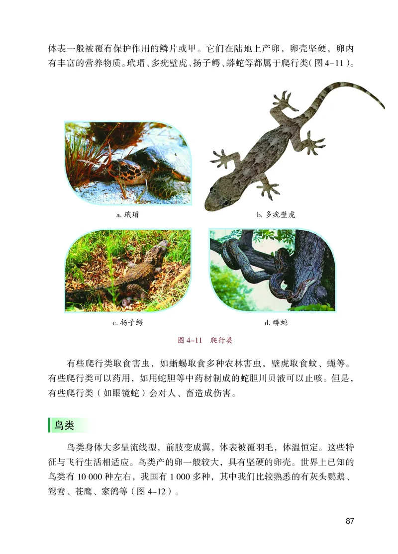 苏教版7年级生物上册高清教材_4-教培资料-26年最新资料-同步更新_初中高中教资_03科三专项（进去保存报考的学科即可）_02科三专项（笔记真题思维导图教学设计版本二）