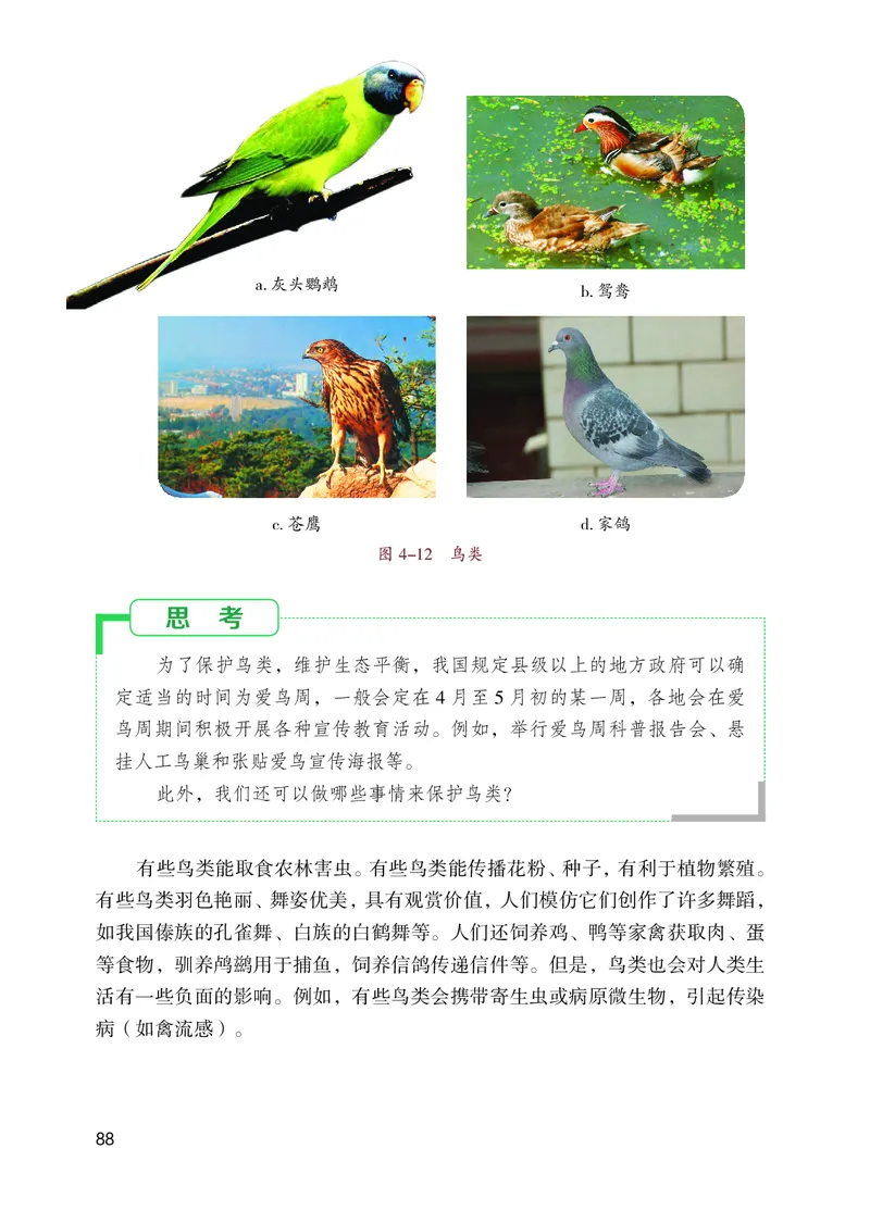 苏教版7年级生物上册高清教材_4-教培资料-26年最新资料-同步更新_初中高中教资_03科三专项（进去保存报考的学科即可）_02科三专项（笔记真题思维导图教学设计版本二）