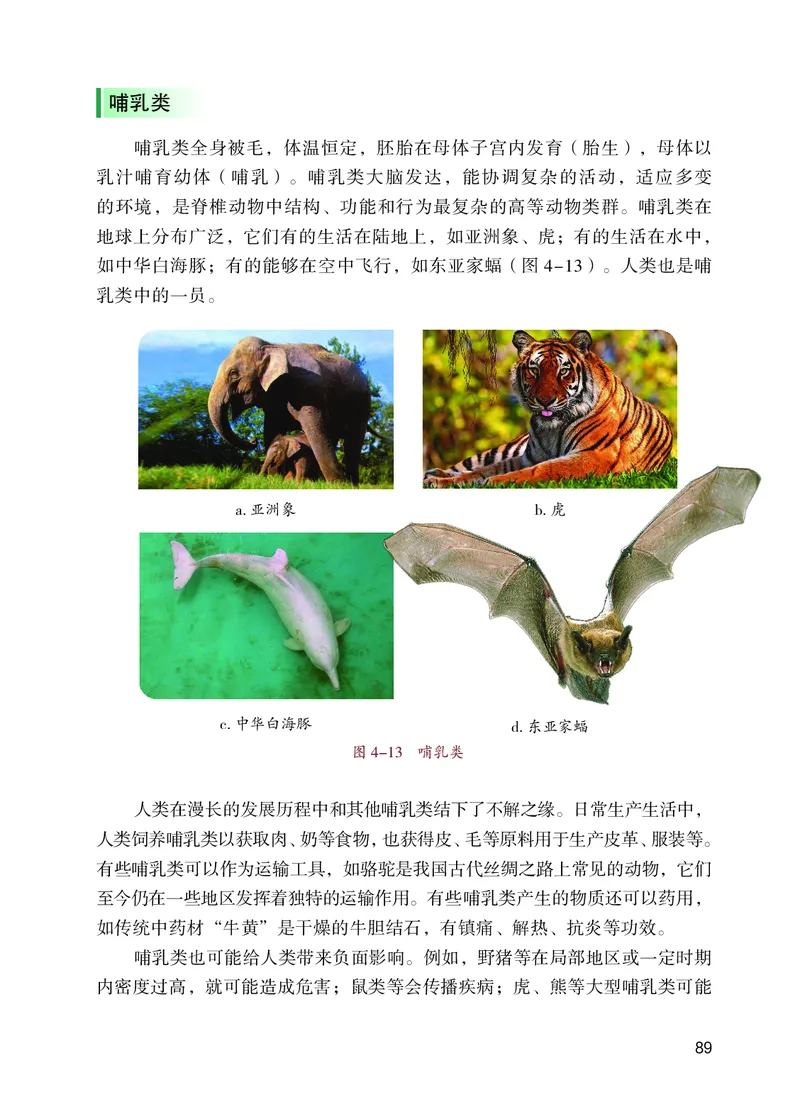 苏教版7年级生物上册高清教材_4-教培资料-26年最新资料-同步更新_初中高中教资_03科三专项（进去保存报考的学科即可）_02科三专项（笔记真题思维导图教学设计版本二）