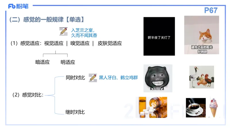 理论精讲7-教育教学知识与能力-李度_4-教培资料-26年最新资料-同步更新_小学教资_022025上FB小学系统班_0225上-教育知识与能力_2.理论精讲_讲义