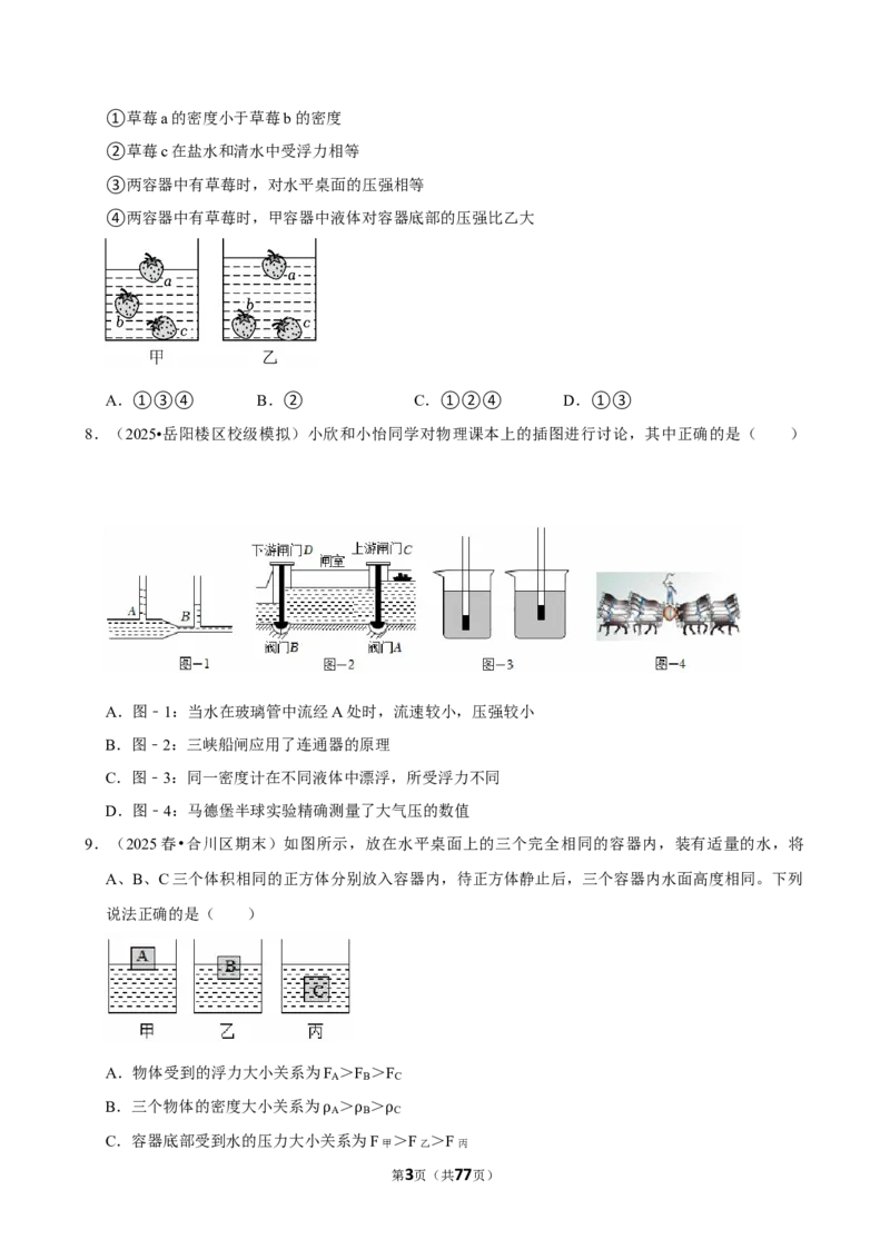 2026年中考物理常考考点专题之浮力_162026年中考七科常考考点专题资料_004中考物理常考考点专题