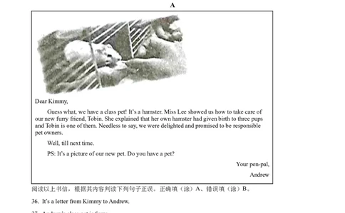 精品解析：2022年甘肃省白银市中考英语真题（原卷版）_中考真题_3.英语中考真题2015-2024年_2022中考英语真题143份11