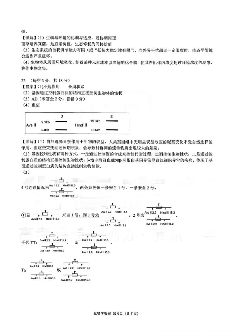 生物试卷答案_2025年12月_251217湖北省楚天协作体2026届高三2025年12月联考（全科）_湖北省楚天协作体2025-2026学年高三上学期12月联考生物试卷+答案