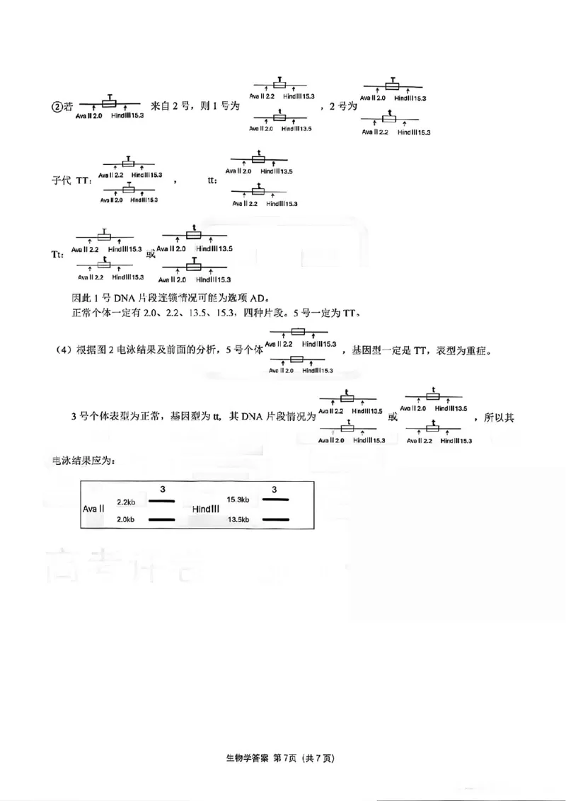 生物试卷答案_2025年12月_251217湖北省楚天协作体2026届高三2025年12月联考（全科）_湖北省楚天协作体2025-2026学年高三上学期12月联考生物试卷+答案