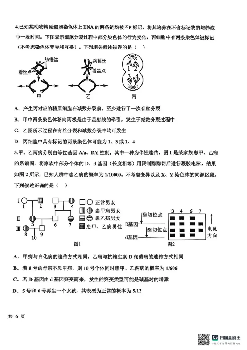 衡水中学2025-2026学年度高三年级上学期综合素质评价四生物_2025年12月_251209河北省衡水中学2025-2026学年度高三年级上学期综合素质评价（四）