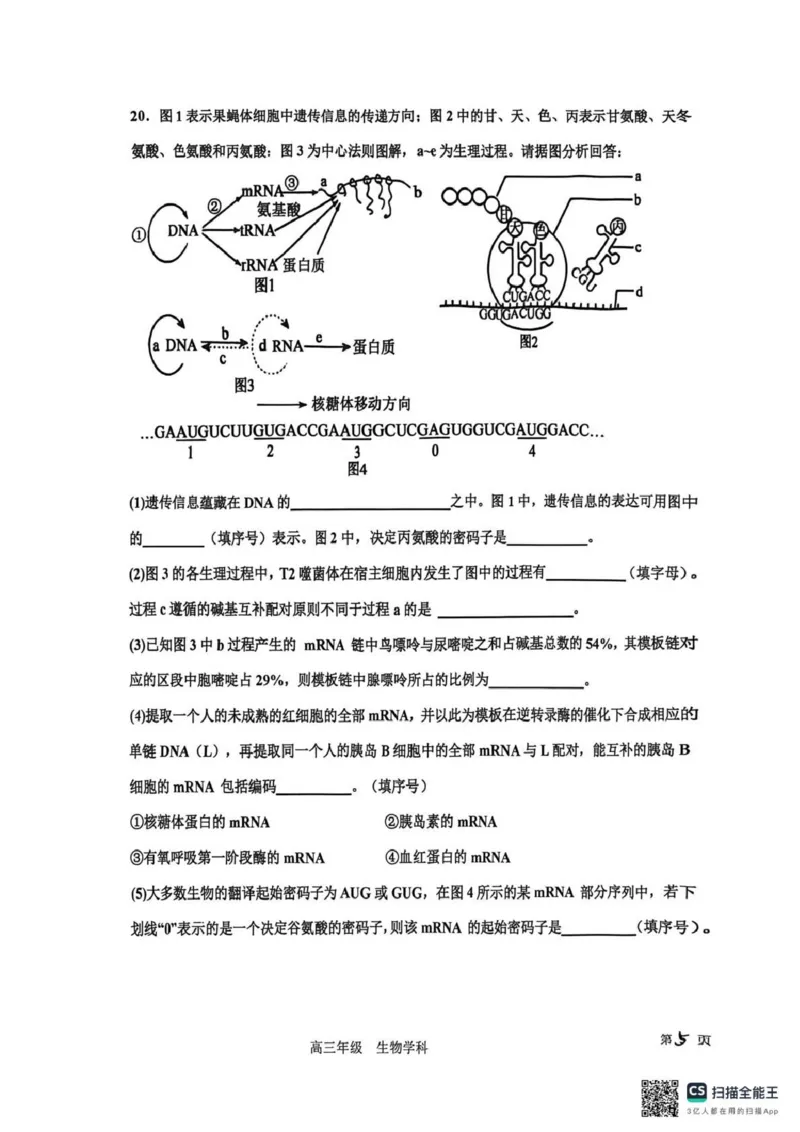 衡水中学2025-2026学年度高三年级上学期综合素质评价四生物_2025年12月_251209河北省衡水中学2025-2026学年度高三年级上学期综合素质评价（四）