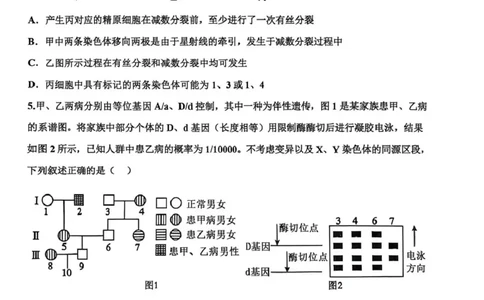 衡水中学2025-2026学年度高三年级上学期综合素质评价四生物_2025年12月_251209河北省衡水中学2025-2026学年度高三年级上学期综合素质评价（四）