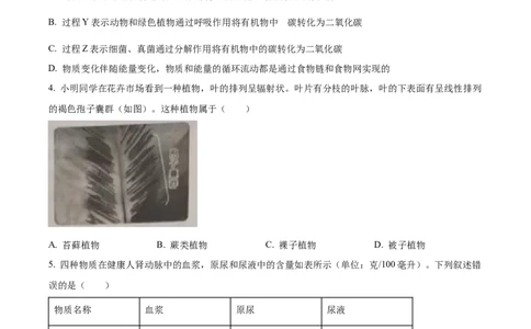 精品解析：2023年山东省泰安市中考生物真题（原卷版）_中考真题_8.生物中考真题2015-2024年_2023年全国中考生物7.20_精品解析：2023年山东省泰安市中考生物真题