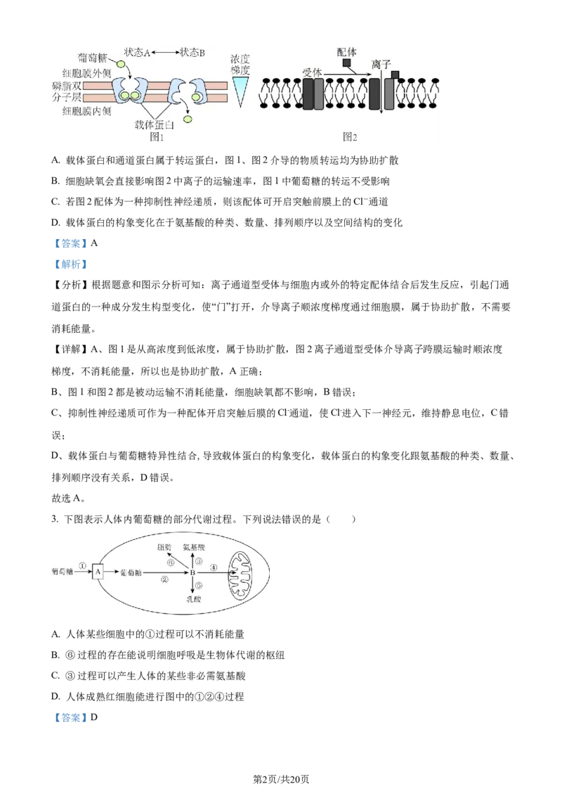 精品解析：河北省部分高中2023-2024学年高三12月期末生物试题（解析版）_2024届衡中同卷高三12月期末考_衡中同卷2024届高三12月期末考试生物