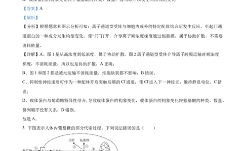 精品解析：河北省部分高中2023-2024学年高三12月期末生物试题（解析版）_2024届衡中同卷高三12月期末考_衡中同卷2024届高三12月期末考试生物