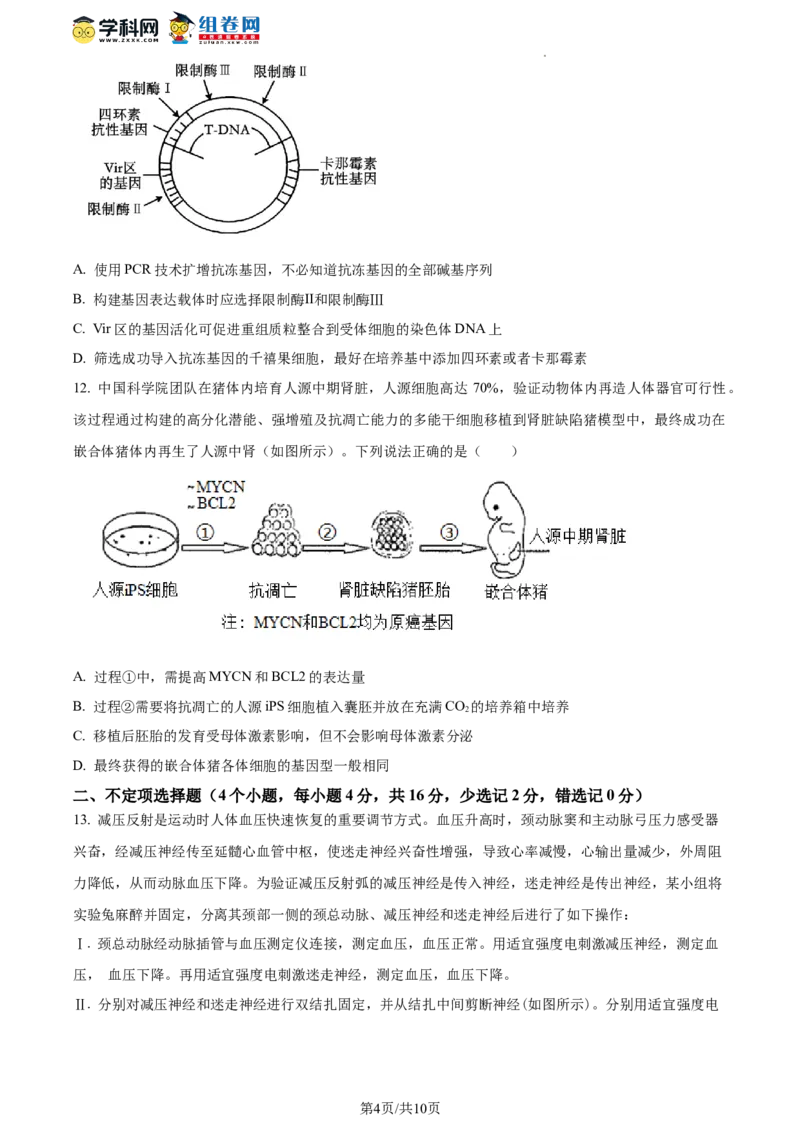精品解析：湖南省衡阳市八中2023-2024学年高三12月月考生物试题（原卷版）_2024年1月_01每日更新_14号_2024届湖南省衡阳市第八中学高三上学期12月月考