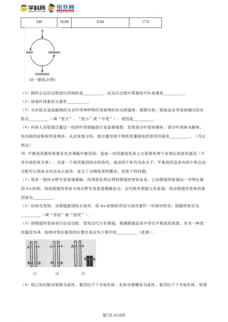 精品解析：湖南省衡阳市八中2023-2024学年高三12月月考生物试题（原卷版）_2024年1月_01每日更新_14号_2024届湖南省衡阳市第八中学高三上学期12月月考
