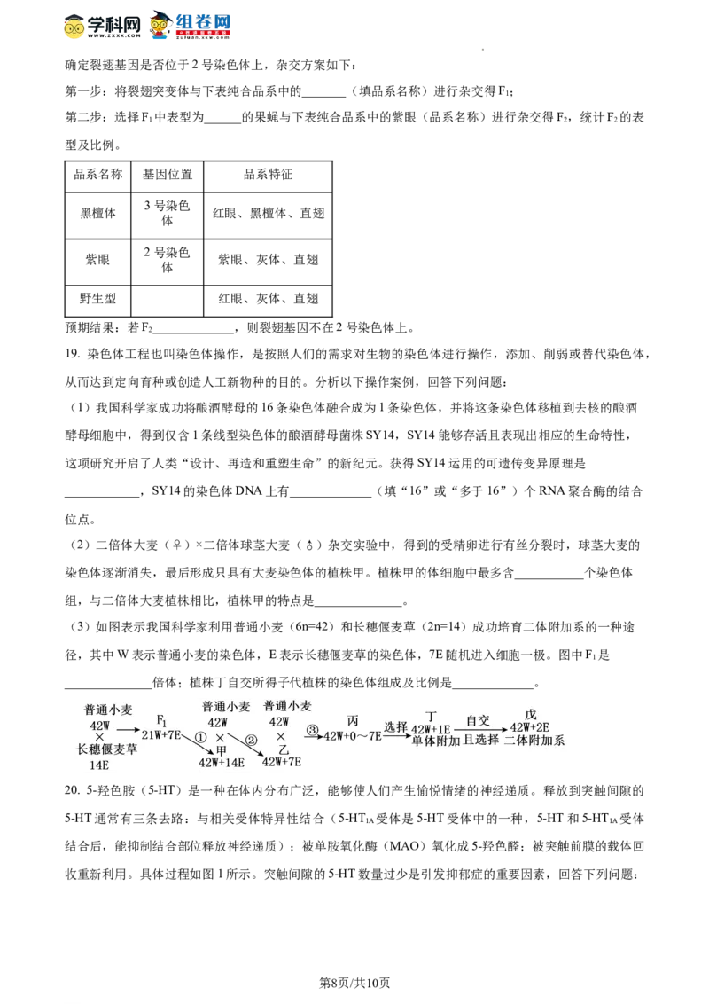 精品解析：湖南省衡阳市八中2023-2024学年高三12月月考生物试题（原卷版）_2024年1月_01每日更新_14号_2024届湖南省衡阳市第八中学高三上学期12月月考