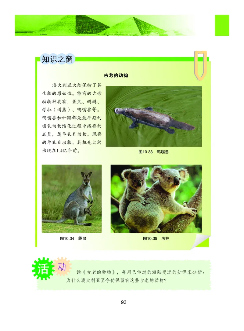 粤教版7年级地理下册高清教材_4-教培资料-26年最新资料-同步更新_初中高中教资_03科三专项（进去保存报考的学科即可）_02科三专项（笔记真题思维导图教学设计版本二）