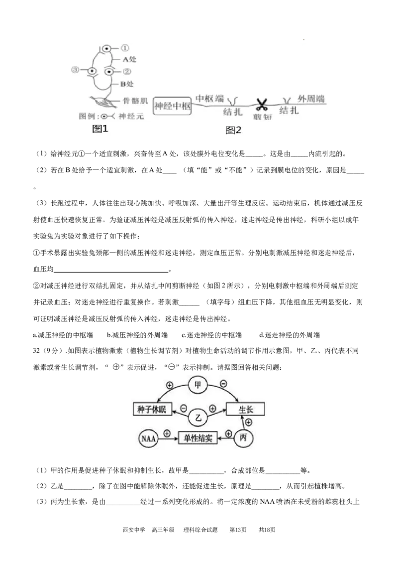 理综试题_2024年1月_01每日更新_23号_2024届陕西省西安中学高三上学期期末考试_陕西省西安中学2024届高三上学期期末考试理综