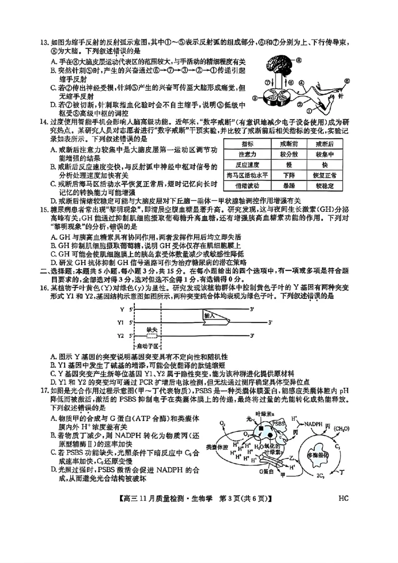 生物_2025年12月_2512022026九师联盟高三11月质量检测（全科）_2026九师联盟高三11月质量检测生物试题（含答案）