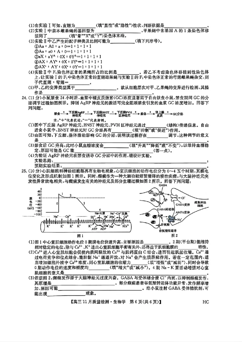 生物_2025年12月_2512022026九师联盟高三11月质量检测（全科）_2026九师联盟高三11月质量检测生物试题（含答案）