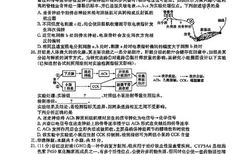 生物_2025年12月_2512022026九师联盟高三11月质量检测（全科）_2026九师联盟高三11月质量检测生物试题（含答案）