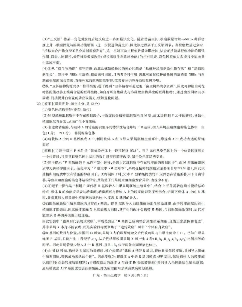 生物答案_2025年12月_251202广东省2025-2026学年领航高中联盟高三毕业班模拟考试（全科）_广东省领航高中联盟2025-2026学年高三上学期12月联考生物试卷（含答案）