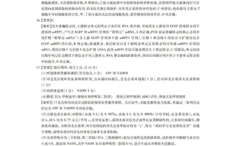 生物答案_2025年12月_251202广东省2025-2026学年领航高中联盟高三毕业班模拟考试（全科）_广东省领航高中联盟2025-2026学年高三上学期12月联考生物试卷（含答案）