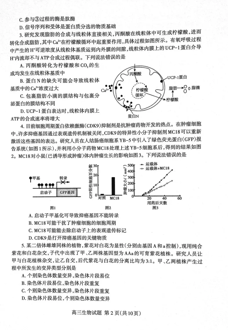 山东省泰安市2023&mdash;2024学年高三上学期期末考试生物试题_2024届山东省泰安市高三上学期期末考试_山东省泰安市2024届高三上学期期末考试生物_新建文件夹(2)