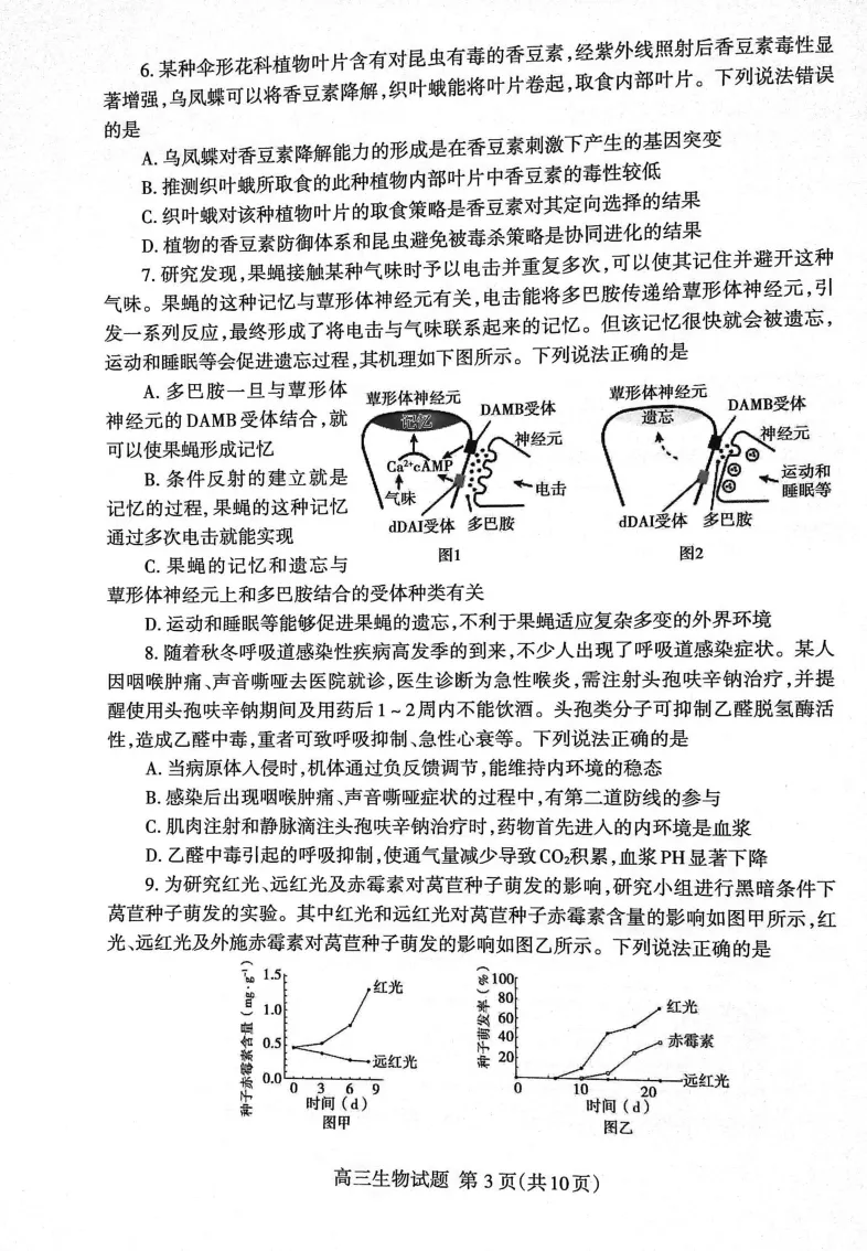 山东省泰安市2023&mdash;2024学年高三上学期期末考试生物试题_2024届山东省泰安市高三上学期期末考试_山东省泰安市2024届高三上学期期末考试生物_新建文件夹(2)
