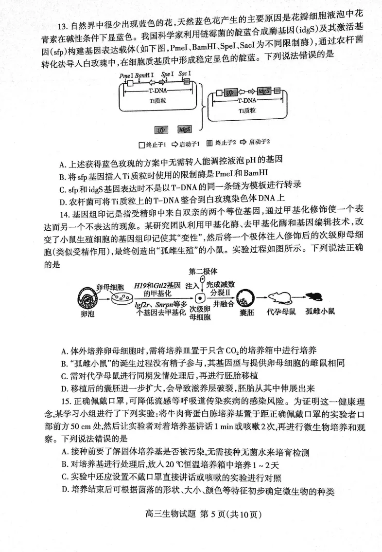 山东省泰安市2023&mdash;2024学年高三上学期期末考试生物试题_2024届山东省泰安市高三上学期期末考试_山东省泰安市2024届高三上学期期末考试生物_新建文件夹(2)