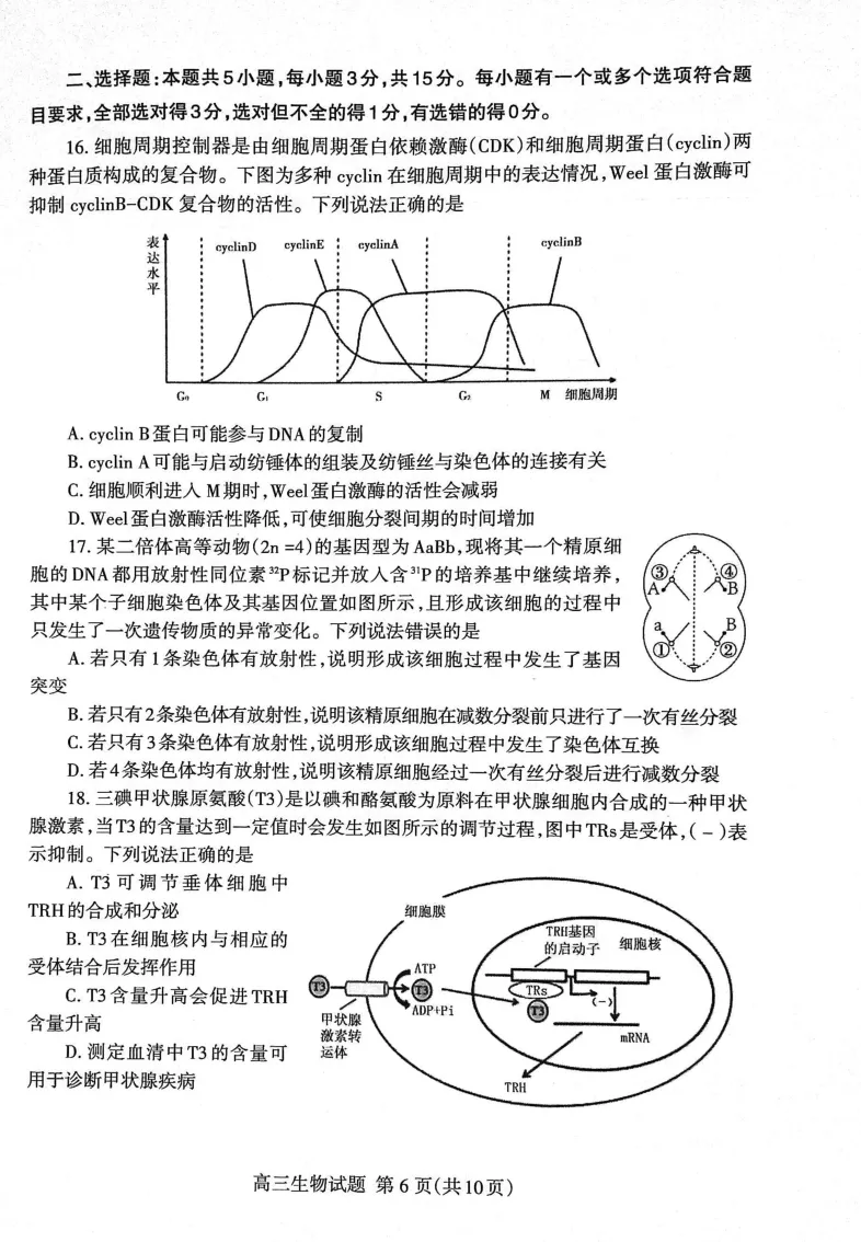 山东省泰安市2023&mdash;2024学年高三上学期期末考试生物试题_2024届山东省泰安市高三上学期期末考试_山东省泰安市2024届高三上学期期末考试生物_新建文件夹(2)