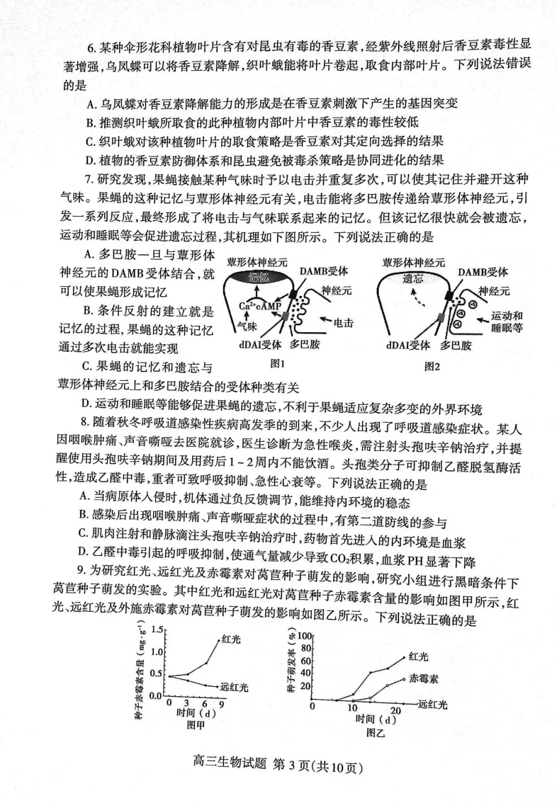 山东省泰安市2023&mdash;2024学年高三上学期期末考试生物试题_2024届山东省泰安市高三上学期期末考试_山东省泰安市2024届高三上学期期末考试生物_新建文件夹(2)