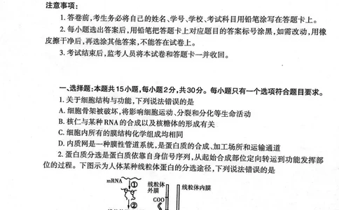 山东省泰安市2023&mdash;2024学年高三上学期期末考试生物试题_2024届山东省泰安市高三上学期期末考试_山东省泰安市2024届高三上学期期末考试生物_新建文件夹(2)