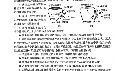 山东省泰安市2023&mdash;2024学年高三上学期期末考试生物试题_2024届山东省泰安市高三上学期期末考试_山东省泰安市2024届高三上学期期末考试生物_新建文件夹(2)
