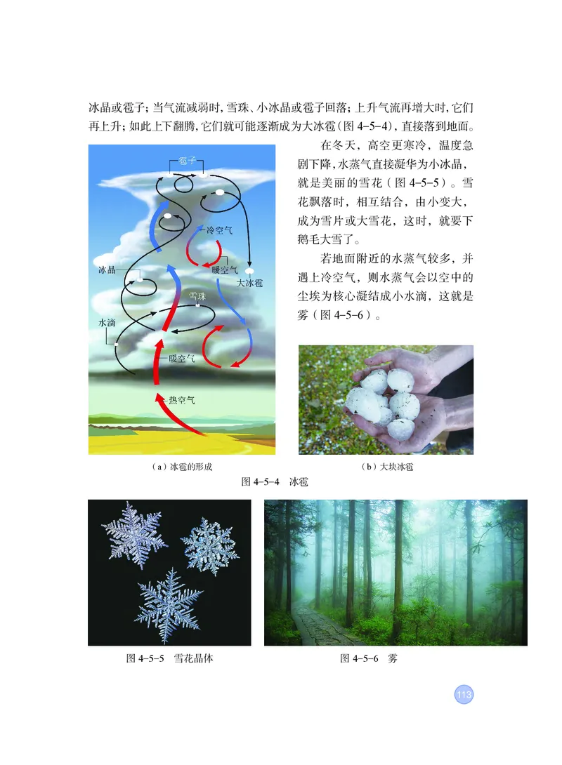粤教版8年级物理上册高清教材_4-教培资料-26年最新资料-同步更新_初中高中教资_03科三专项（进去保存报考的学科即可）_02科三专项（笔记真题思维导图教学设计版本二）