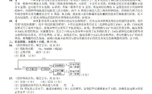 重庆市第八中学2026届高考适应性月考卷（三）生物答案_251124重庆市第八中学2026届高考适应性月考卷（三）（全科）
