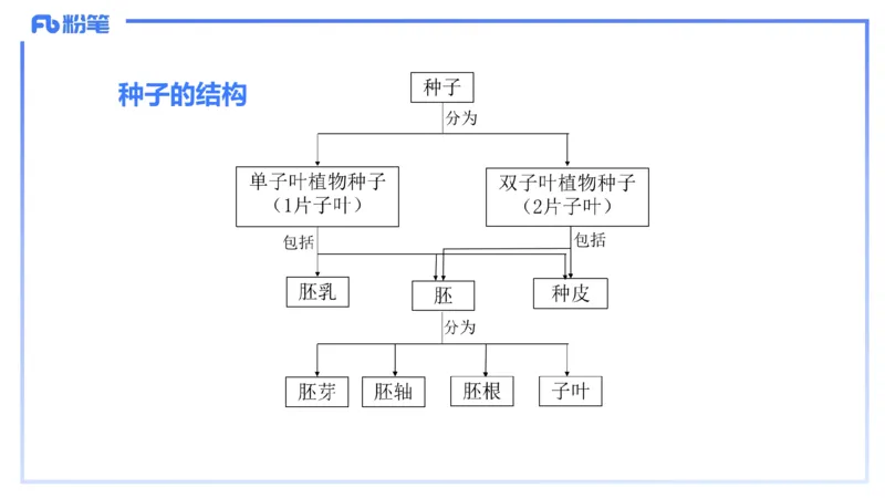 理论精讲23-教学论4-拾光_4-教培资料-26年最新资料-同步更新_初中高中教资_03科三专项（进去保存报考的学科即可）_01科目三FB网课、三色速记手册、知识点导图等推荐_初中