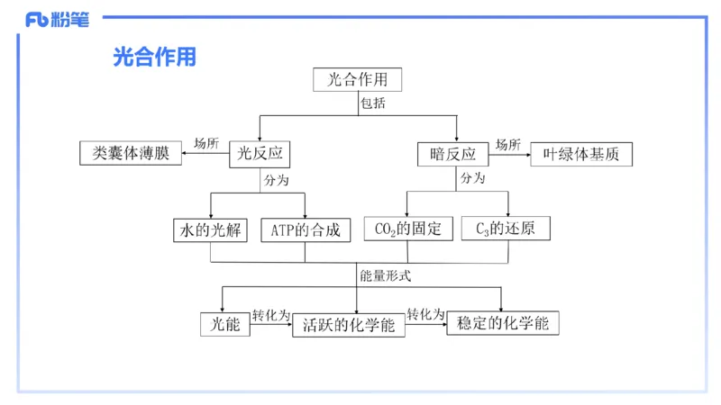 理论精讲23-教学论4-拾光_4-教培资料-26年最新资料-同步更新_初中高中教资_03科三专项（进去保存报考的学科即可）_01科目三FB网课、三色速记手册、知识点导图等推荐_初中