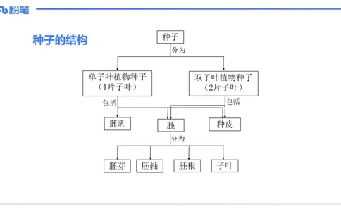 理论精讲23-教学论4-拾光_4-教培资料-26年最新资料-同步更新_初中高中教资_03科三专项（进去保存报考的学科即可）_01科目三FB网课、三色速记手册、知识点导图等推荐_初中