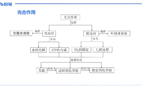 理论精讲23-教学论4-拾光_4-教培资料-26年最新资料-同步更新_初中高中教资_03科三专项（进去保存报考的学科即可）_01科目三FB网课、三色速记手册、知识点导图等推荐_初中