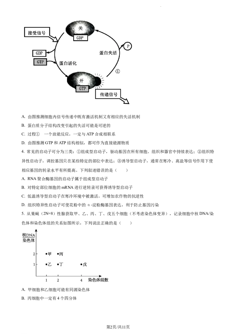 精品解析：重庆市一中2023-2024学年高三12月月考生物试题（原卷版）_2024届重庆市第一中学校高三上学期12月月考_重庆市第一中学校2024届高三上学期12月月考生物