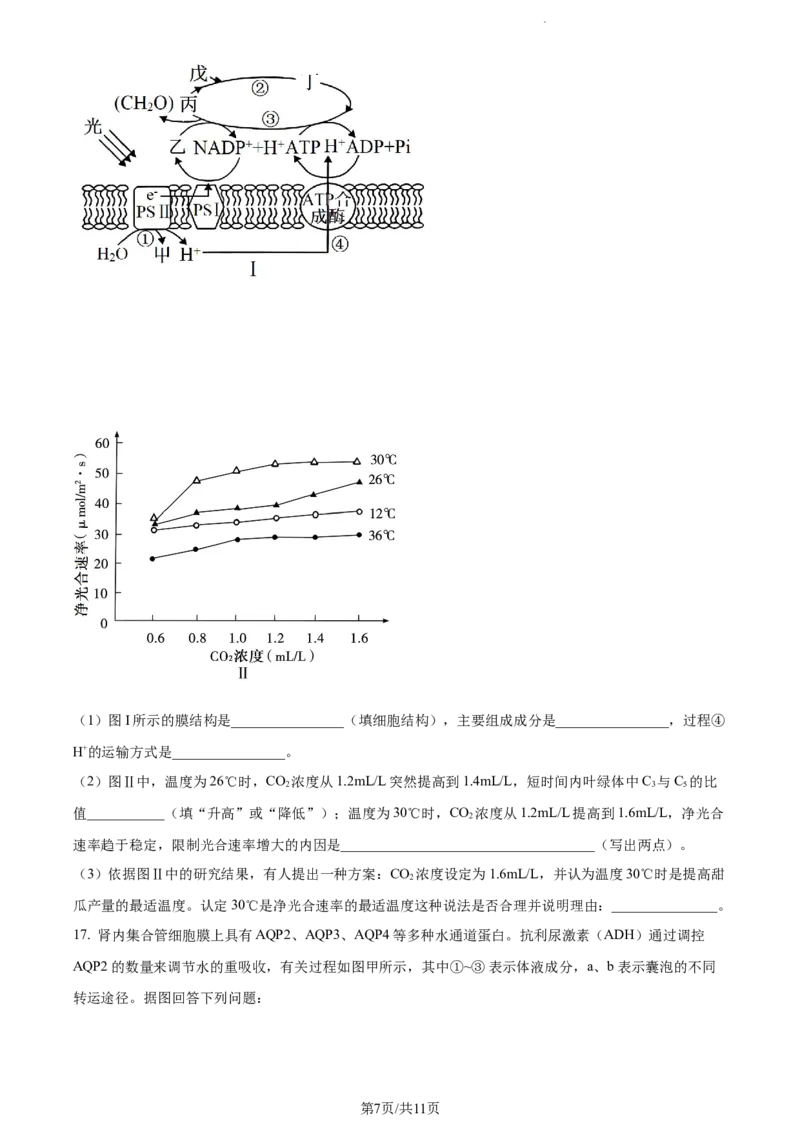 精品解析：重庆市一中2023-2024学年高三12月月考生物试题（原卷版）_2024届重庆市第一中学校高三上学期12月月考_重庆市第一中学校2024届高三上学期12月月考生物